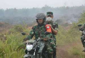 pbn2