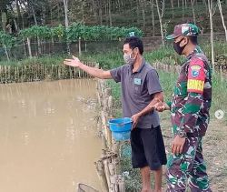 Babinsa Koramil 1015-13/Mentaya Hulu Komsos Dengan Pembudidaya Ikan Air Tawar