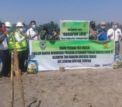 Babinsa Koramil 1015-15/Tlp Turun Langsung Ke Sawah Bantu Petani Tanam Padi