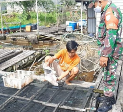 Babinsa koramil 1015-15/Telaga Pulang Melaksanakan Komsos Dengan Pembuatan Ikan Asin