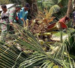 Gotong Royong Babinsa Koramil 1015-06/Smd Bersama Warga Bersihkan Ranting Dan Pohon