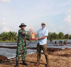 Dandim 1015/Sampit bersama PT RMU Tinjau Lahan Demplot