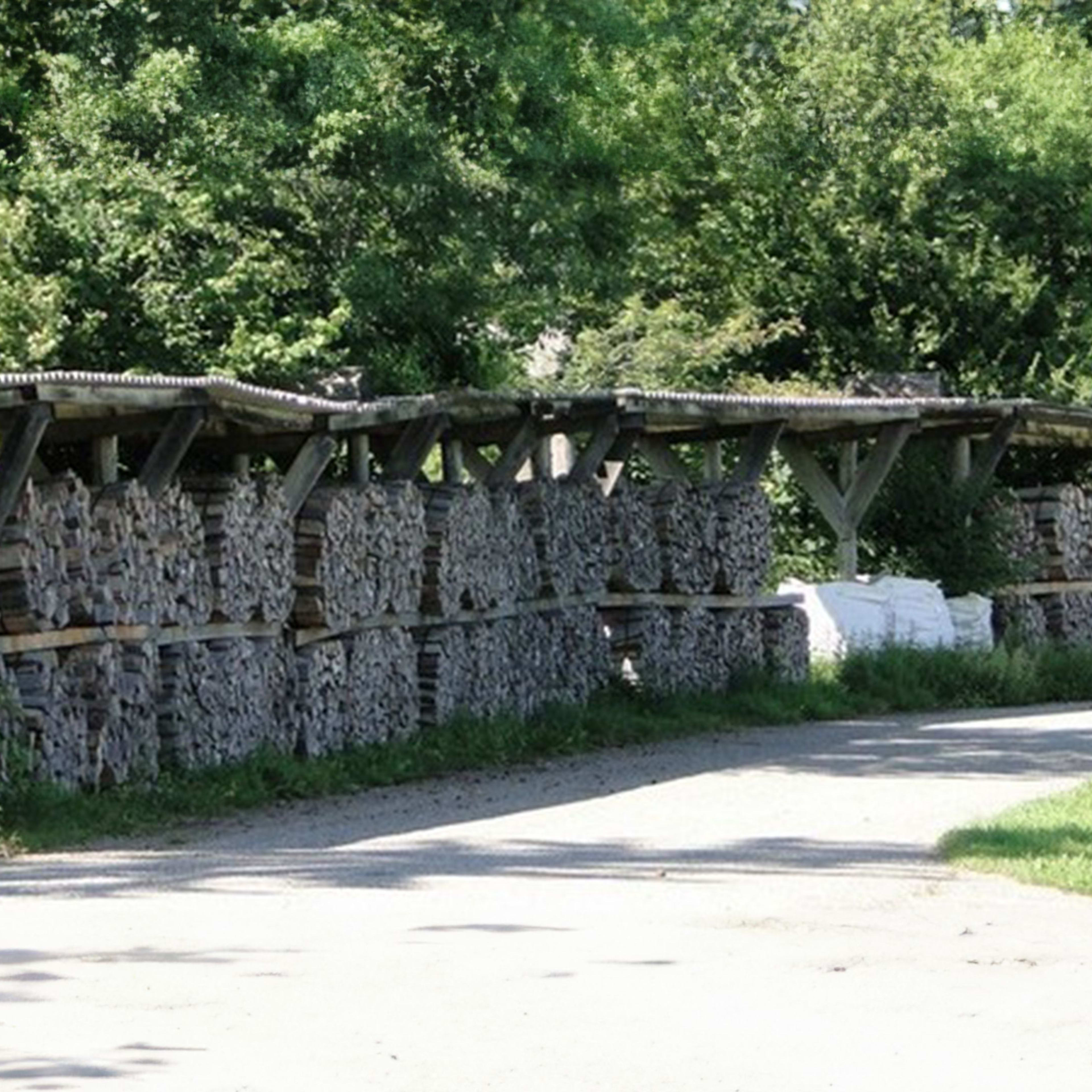 Bild einer grossen Holzbeige der Korporation Wollerau.