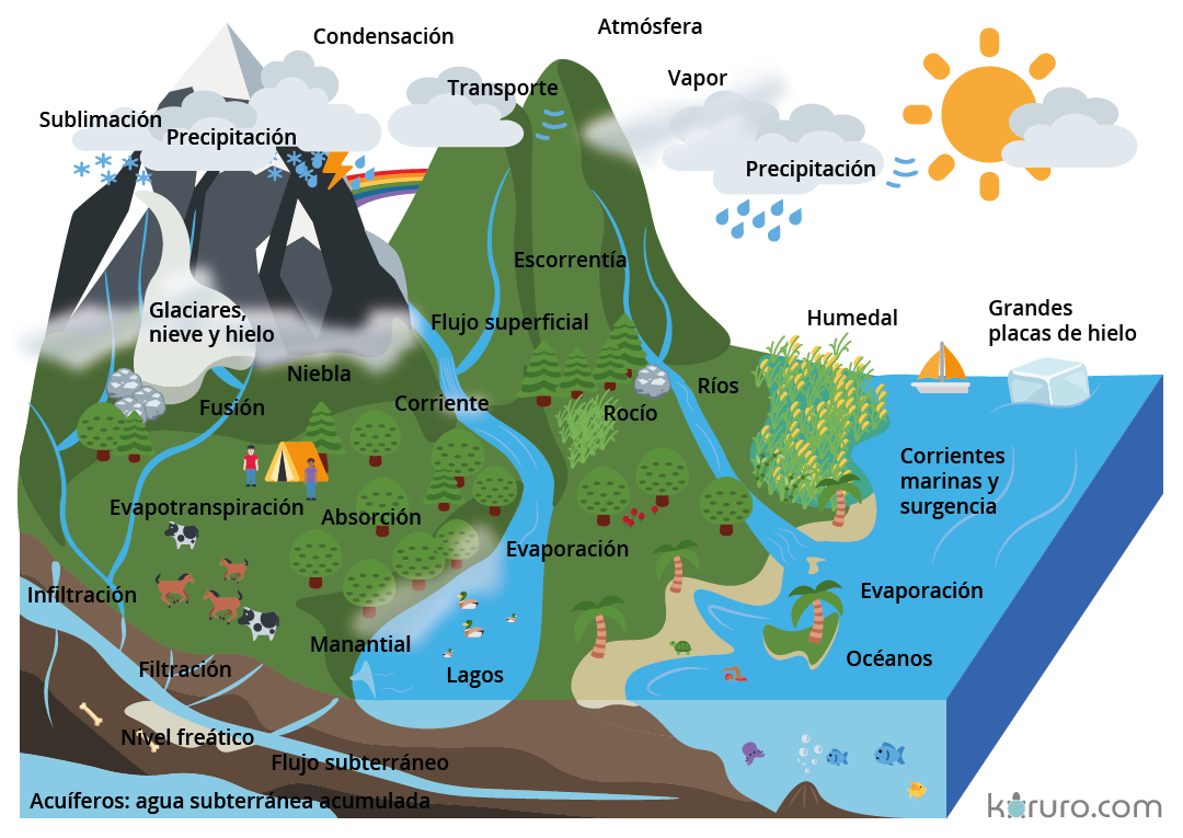 esquema-ciclo-del-agua