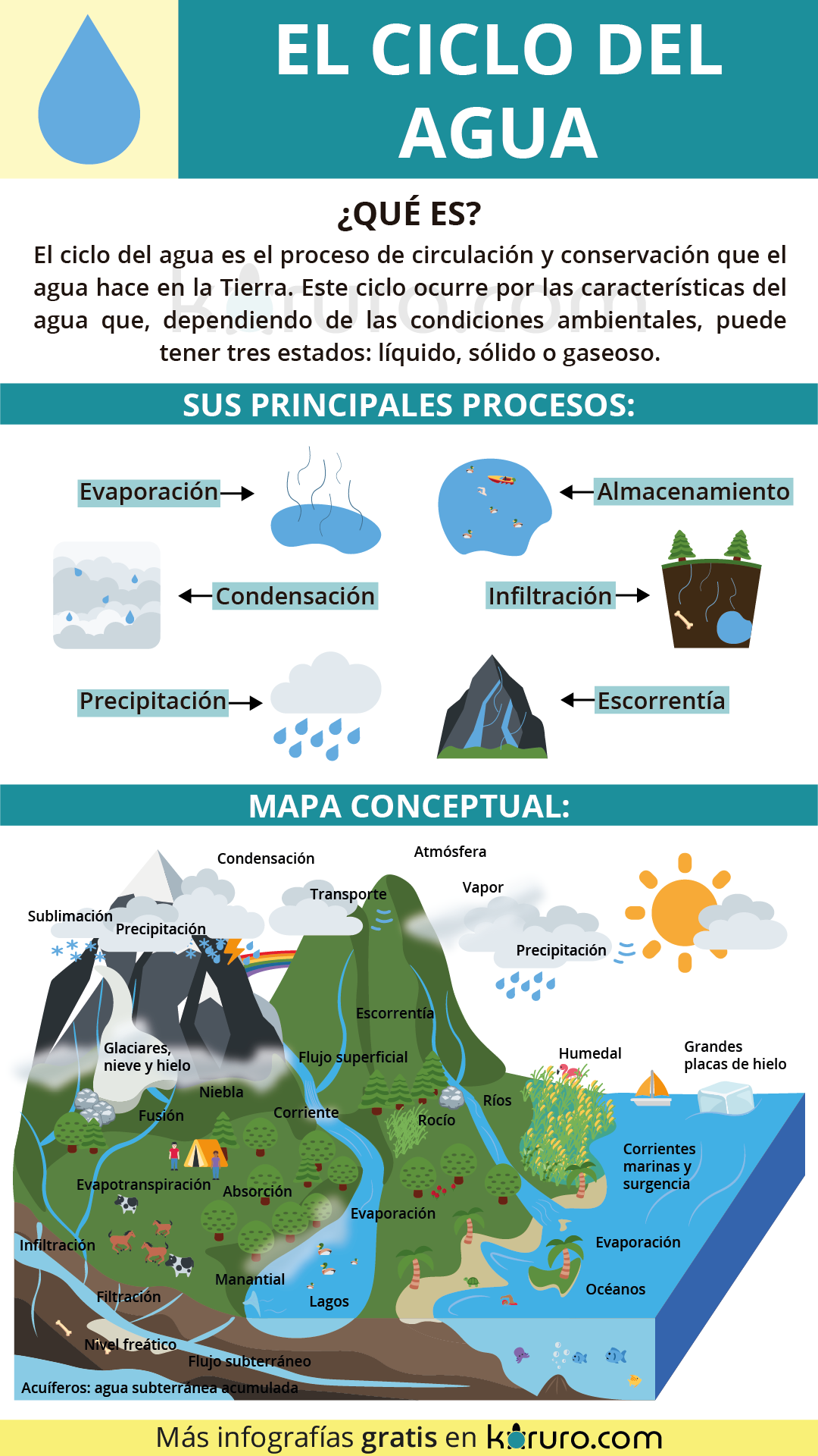 Los procesos o fases del ciclo del agua