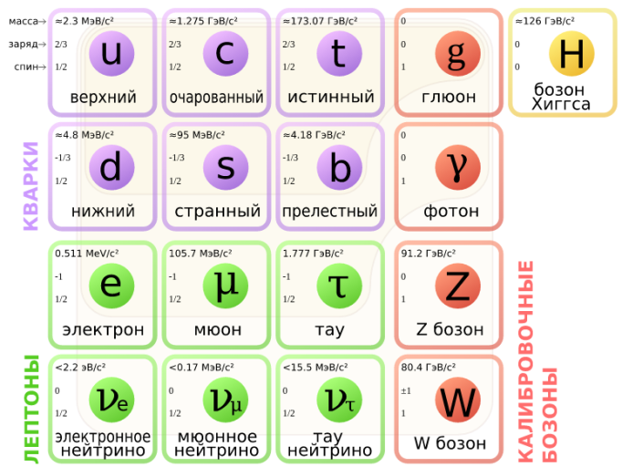 Фундаментальные частицы Стандартной модели.