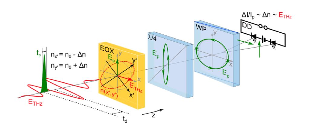 Рис. 1. Схема электрооптического измерения терагерцового поля. Слева красным показан терагерцовый импульс, зелёным — сверхкороткий оптический импульс. Жёлтая пластинка EOX — электрооптический кристалл, в котором происходит взаимодействие импульсов. Остальная часть схемы предназначена для измерения изменившейся поляризации оптического импульса.