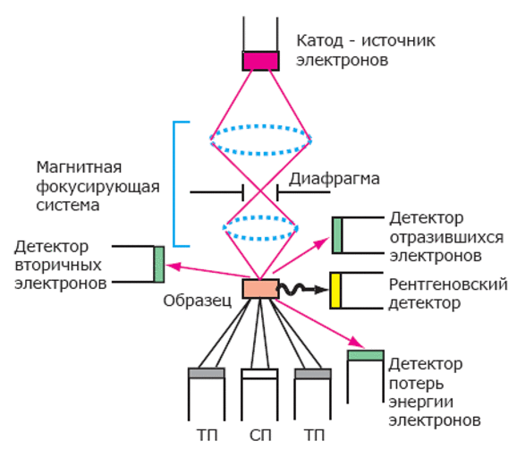 Схема электронного микроскопа