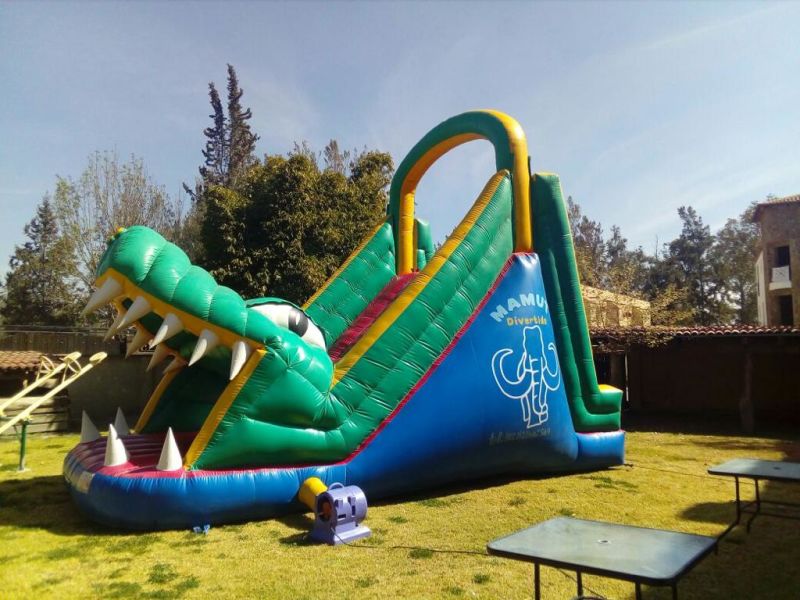 Tobogan Cocodrilo image 1