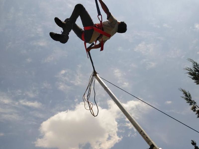 Bungy image 5