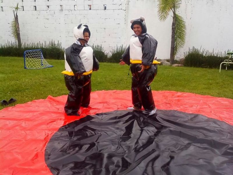 Trajes de Sumo tipo Panda image 1