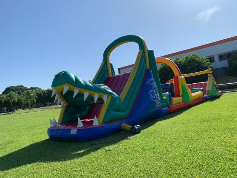 Mega Escalador image 1