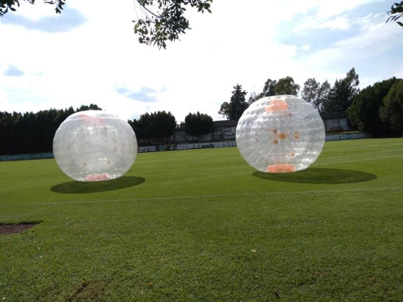 Esfera de Pasto image 1