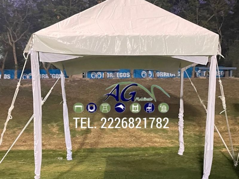 Carpas Elegantes image 11