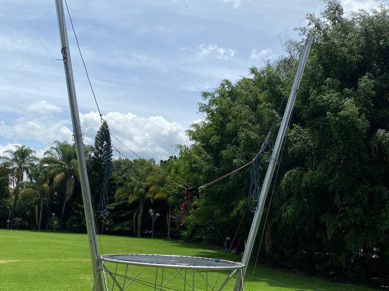 Bungy image 6
