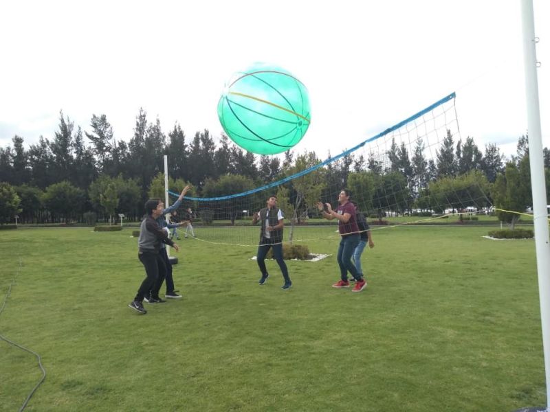 Voleiball Gigante image 2