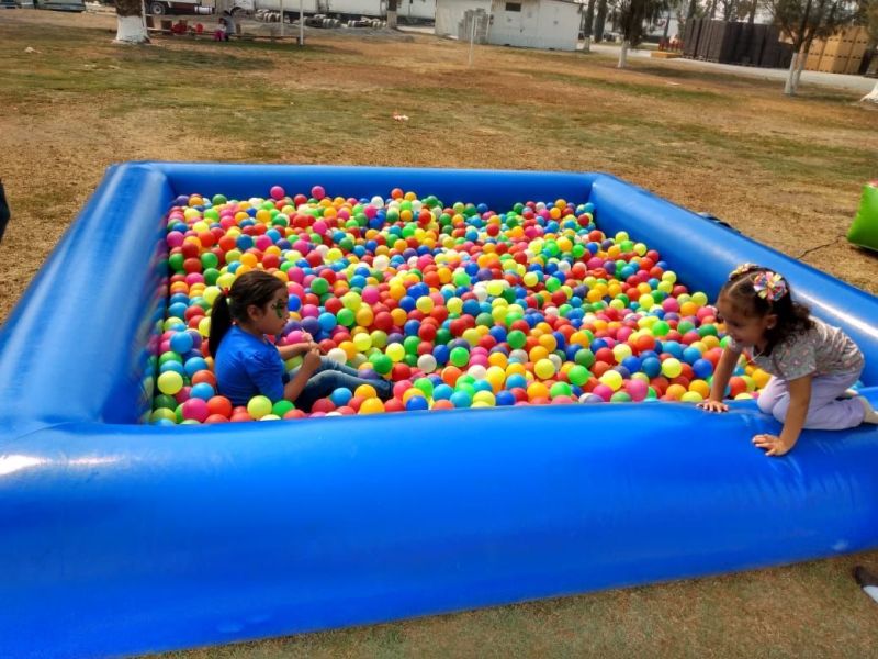 Alberca de Pelotas image 2