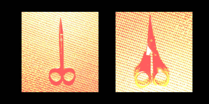 Εικόνα για το πρότζεκτ 'Μπάγκς Μπάνι' του Πολυπράγμων Καλλιτέχνη Κώστα Γκόγκα