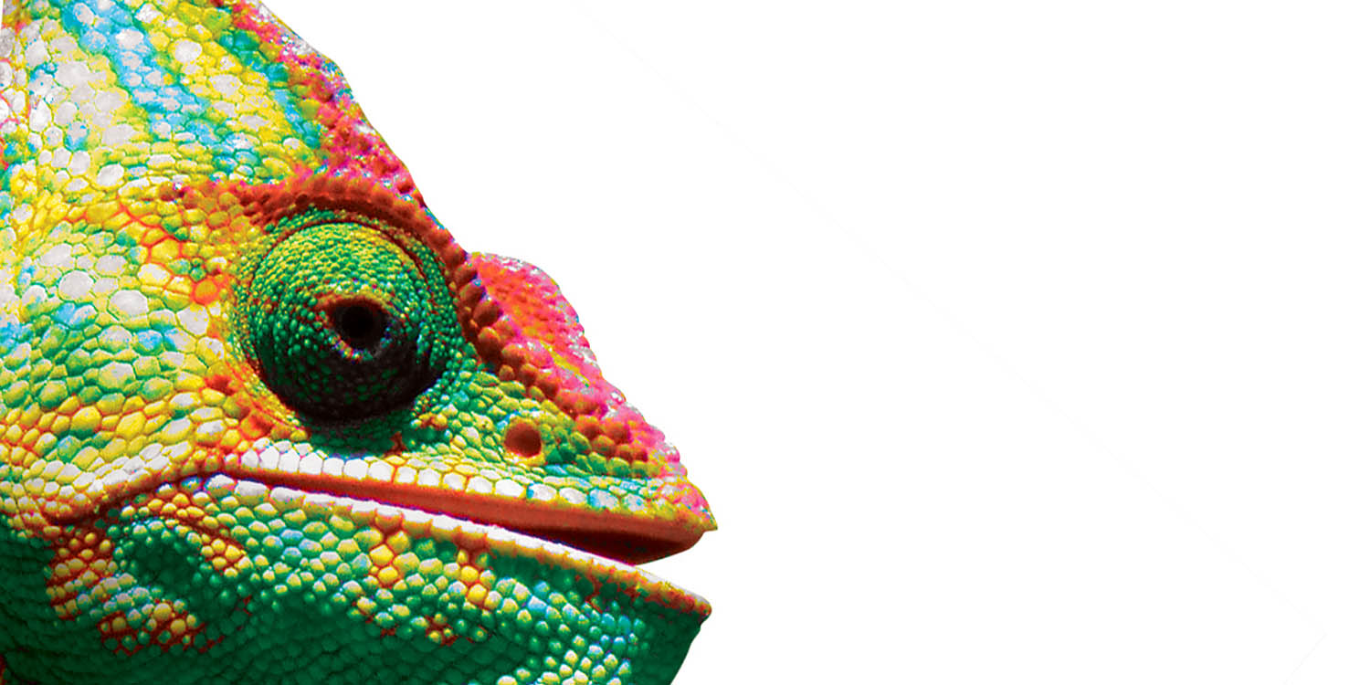 Εικόνα για το πρότζεκτ 'Chameleon' του Πολυπράγμων Καλλιτέχνη Κώστα Γκόγκα