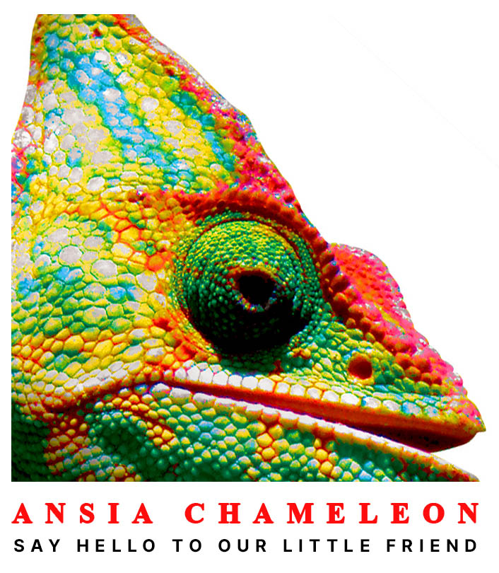 Ansia, Chameleon, 2009, Ανεξάρτητο Χιπ-Χοπ Άλμπουμ, Αθήνα, Νέα Φιλαδέλφεια