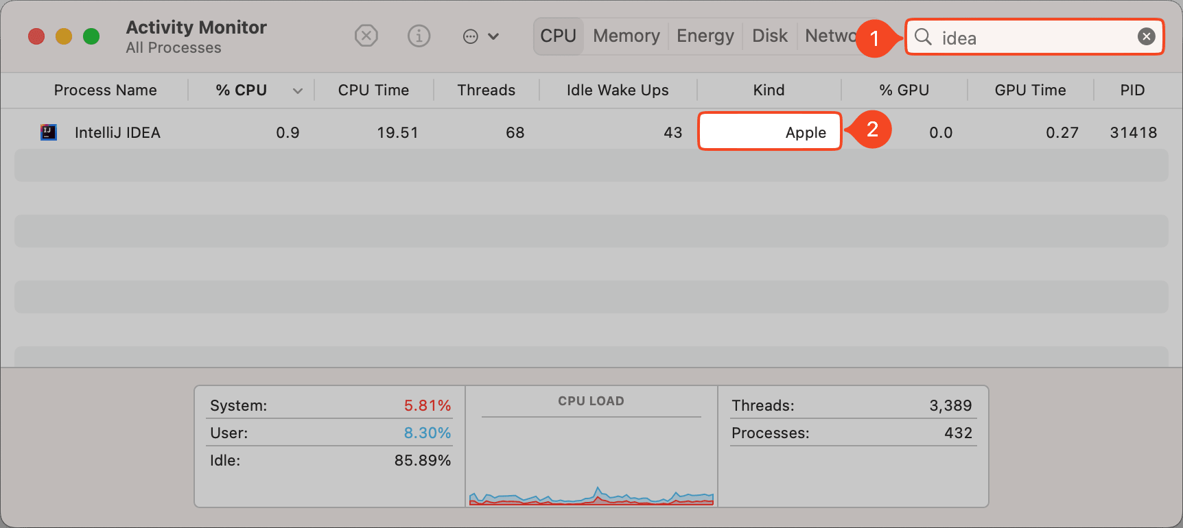 IntelliJ IDEA in Activity Monitor