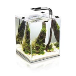 Аквариум AQUAEL SHRIM SET SMART2 объемом 30л 