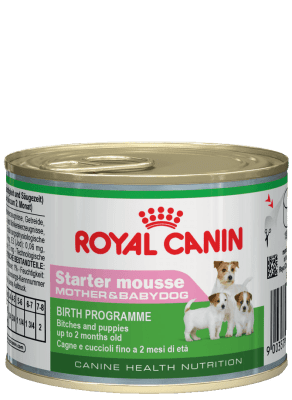 Royal Canin STARTER MOUSSE 0.195кг, Для сук и щенков до 2 месяцев