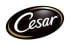 Cesar