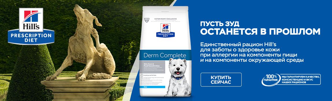 Новинка Hills Derm Complete Dry