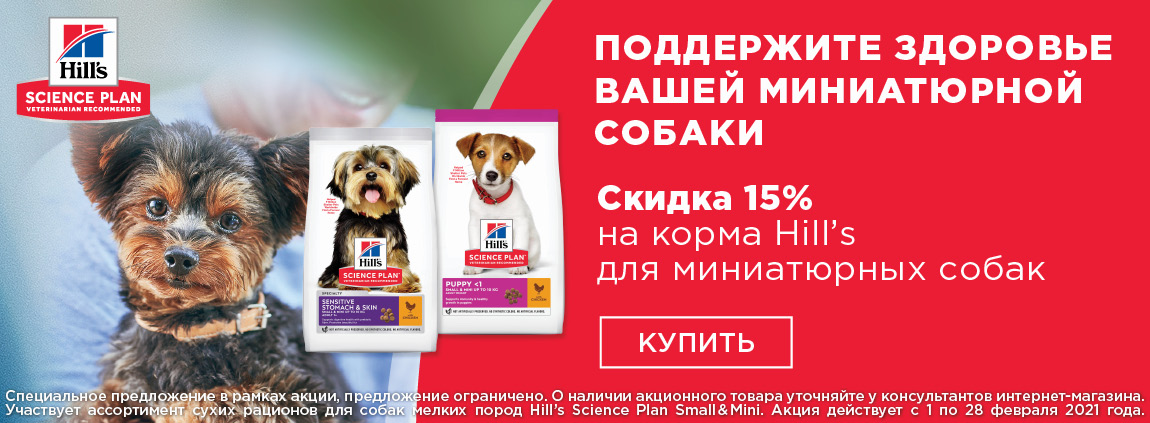 Зоозебра Красноярск Интернет Магазин