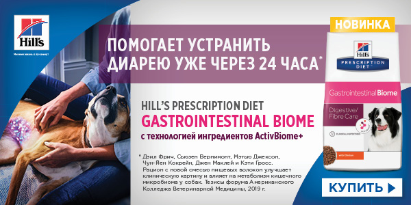Котофей Интернет Магазин Зоотоваров