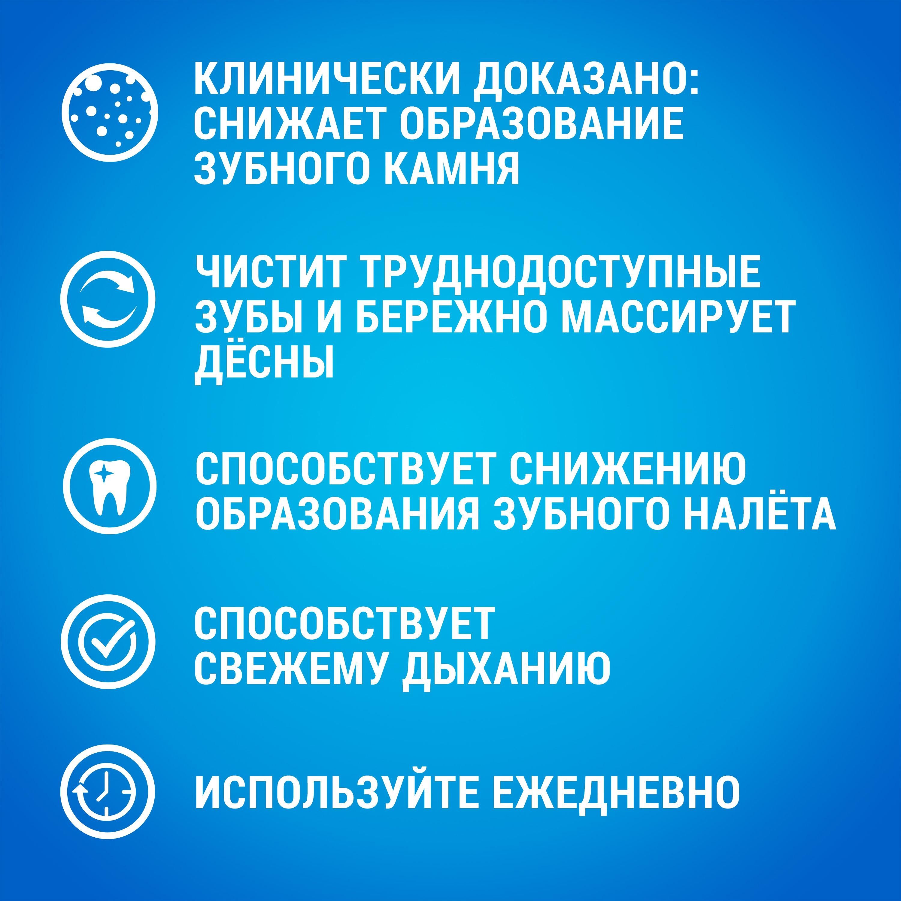 Котофей Зоотовары Интернет Магазин Котофей Зоотовары Интернет Магазин