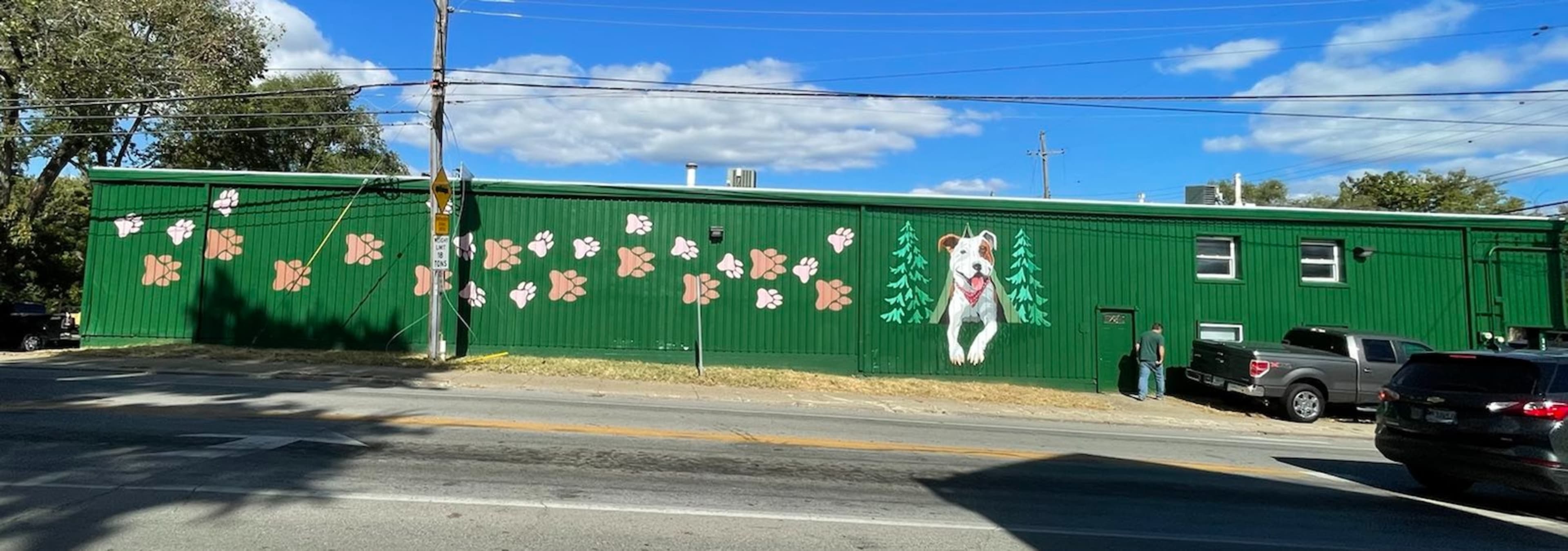 Drop a mural project photo