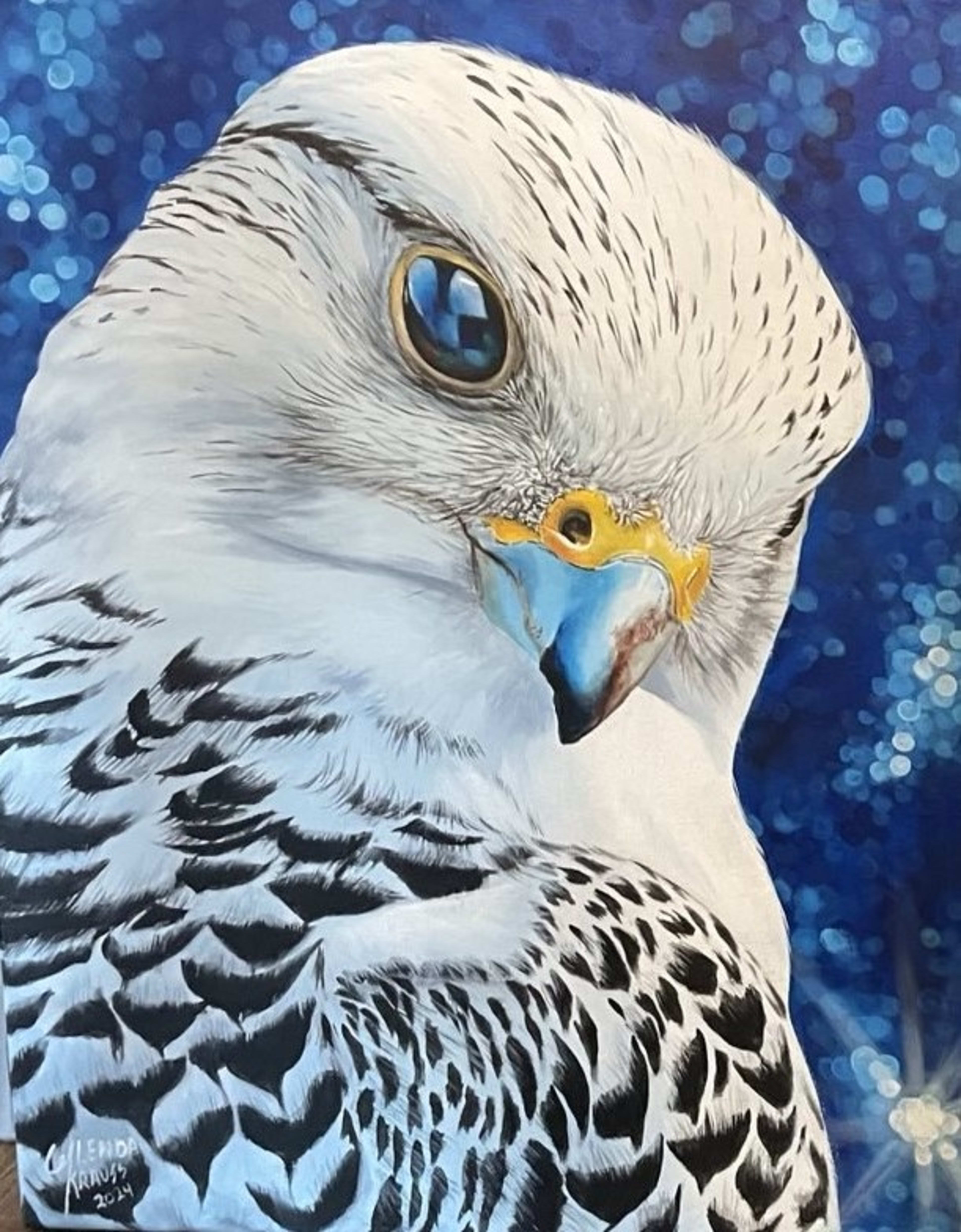 Gyrfalcon