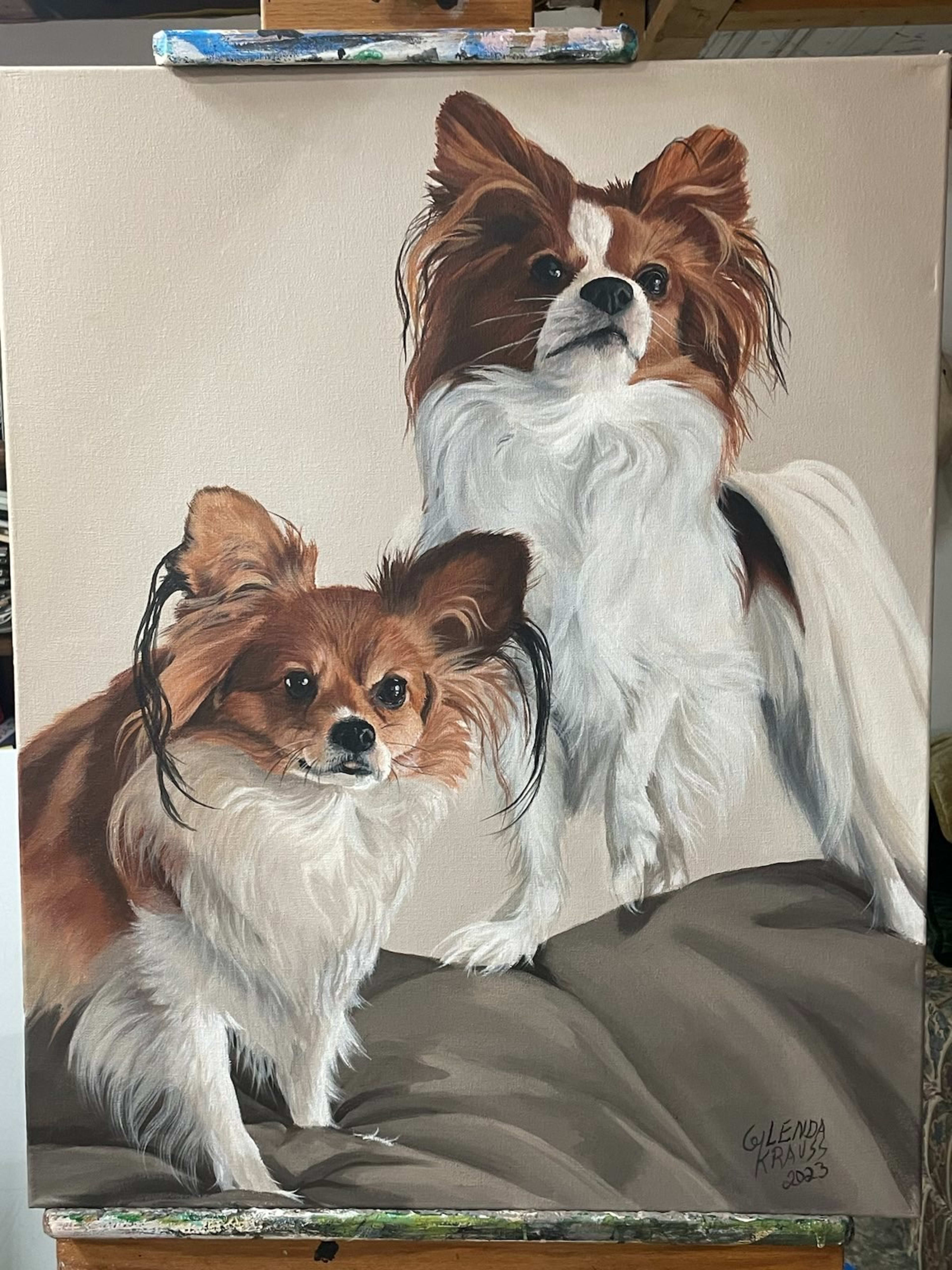Papillion Pups
