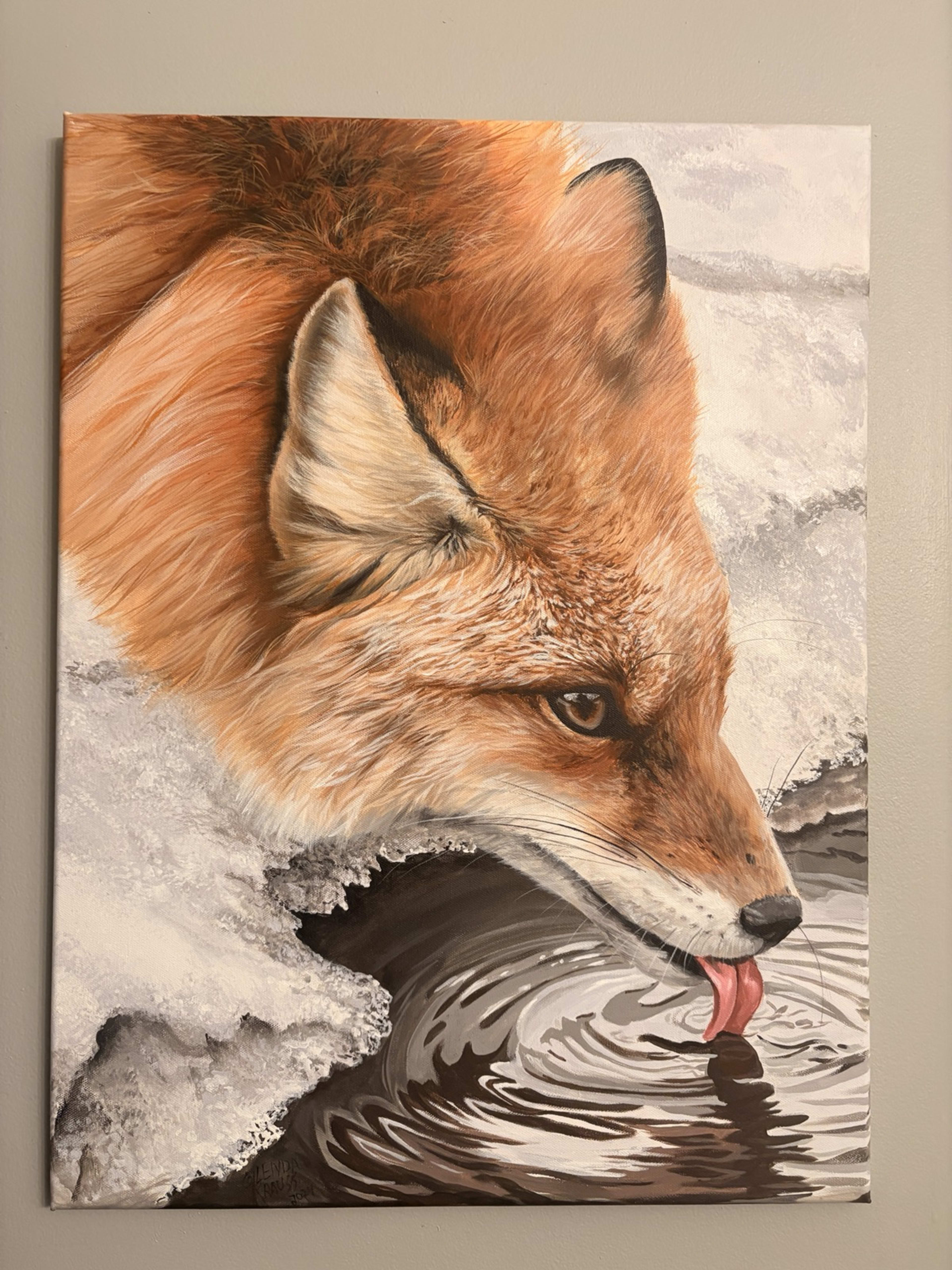 Red Fox