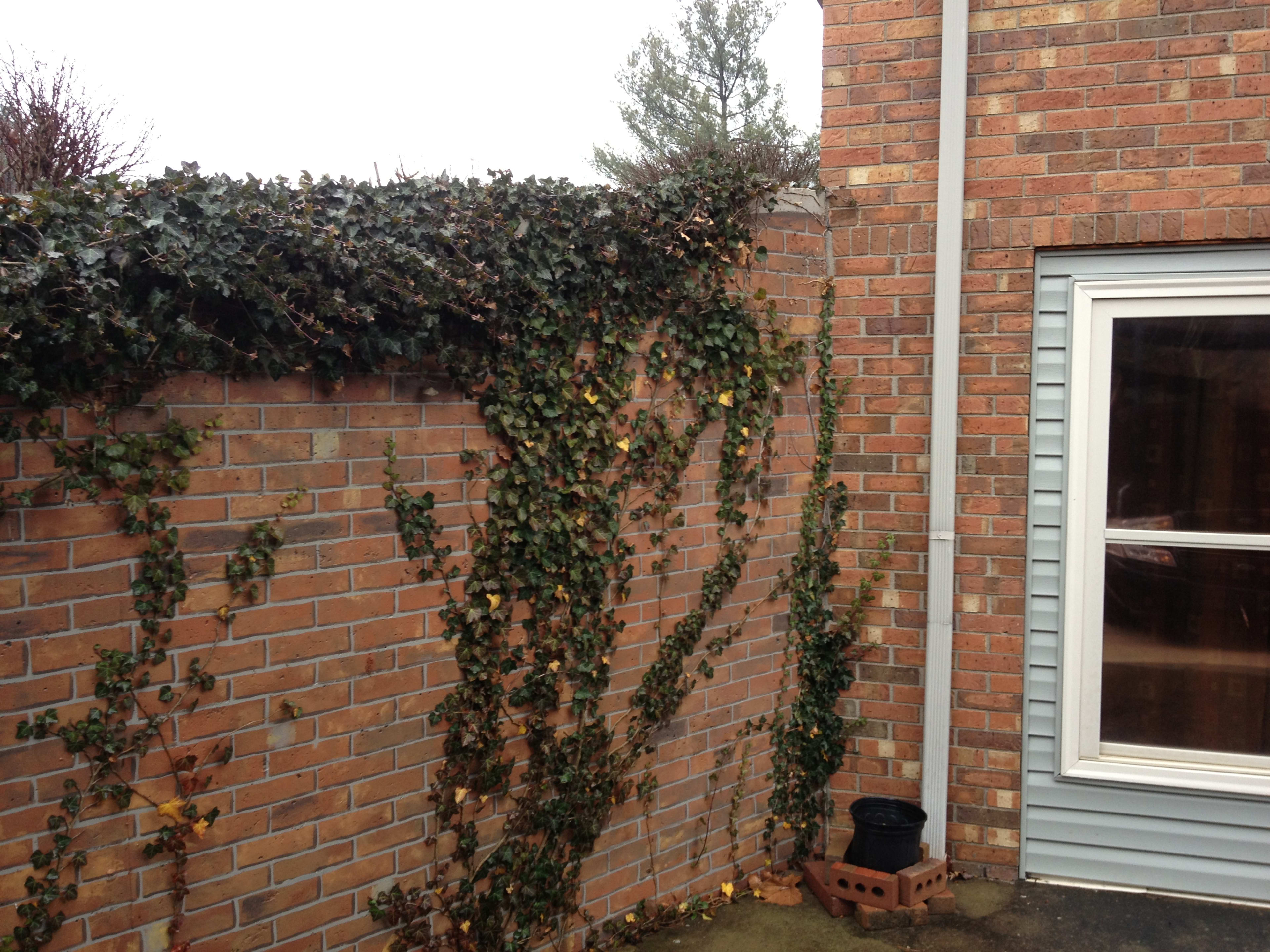 Faux Retaining Wall