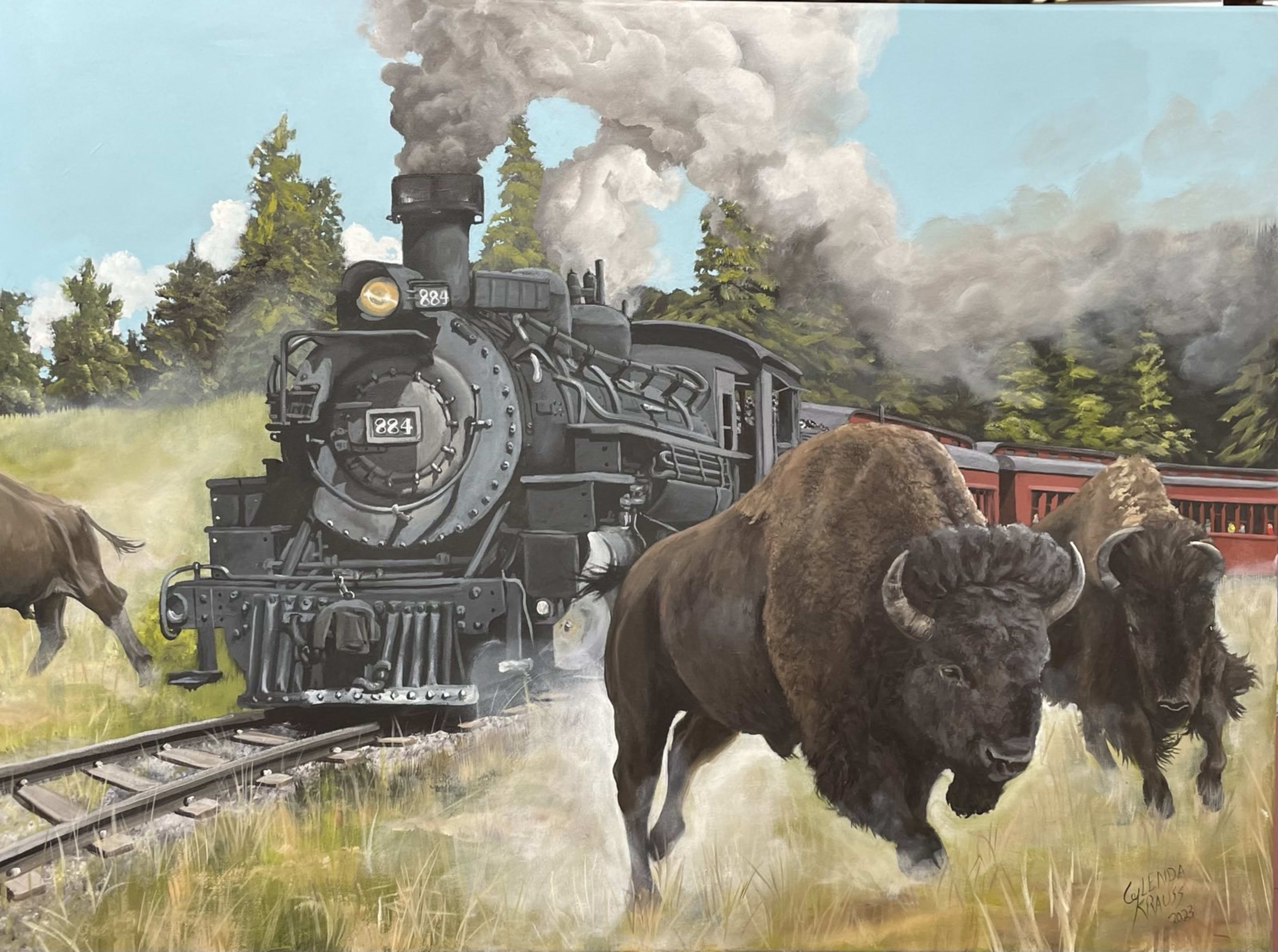 Steam Engine Run