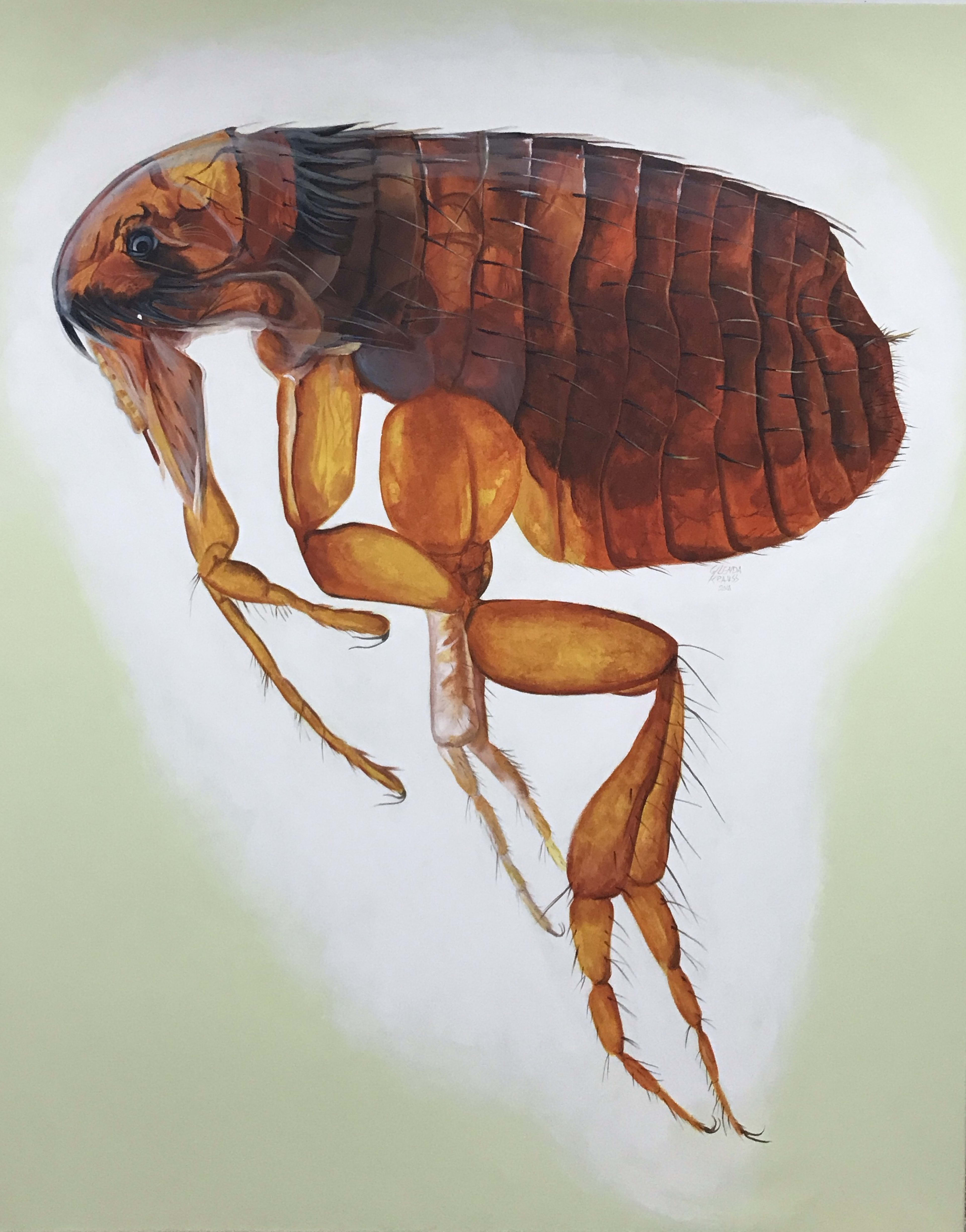 Flea