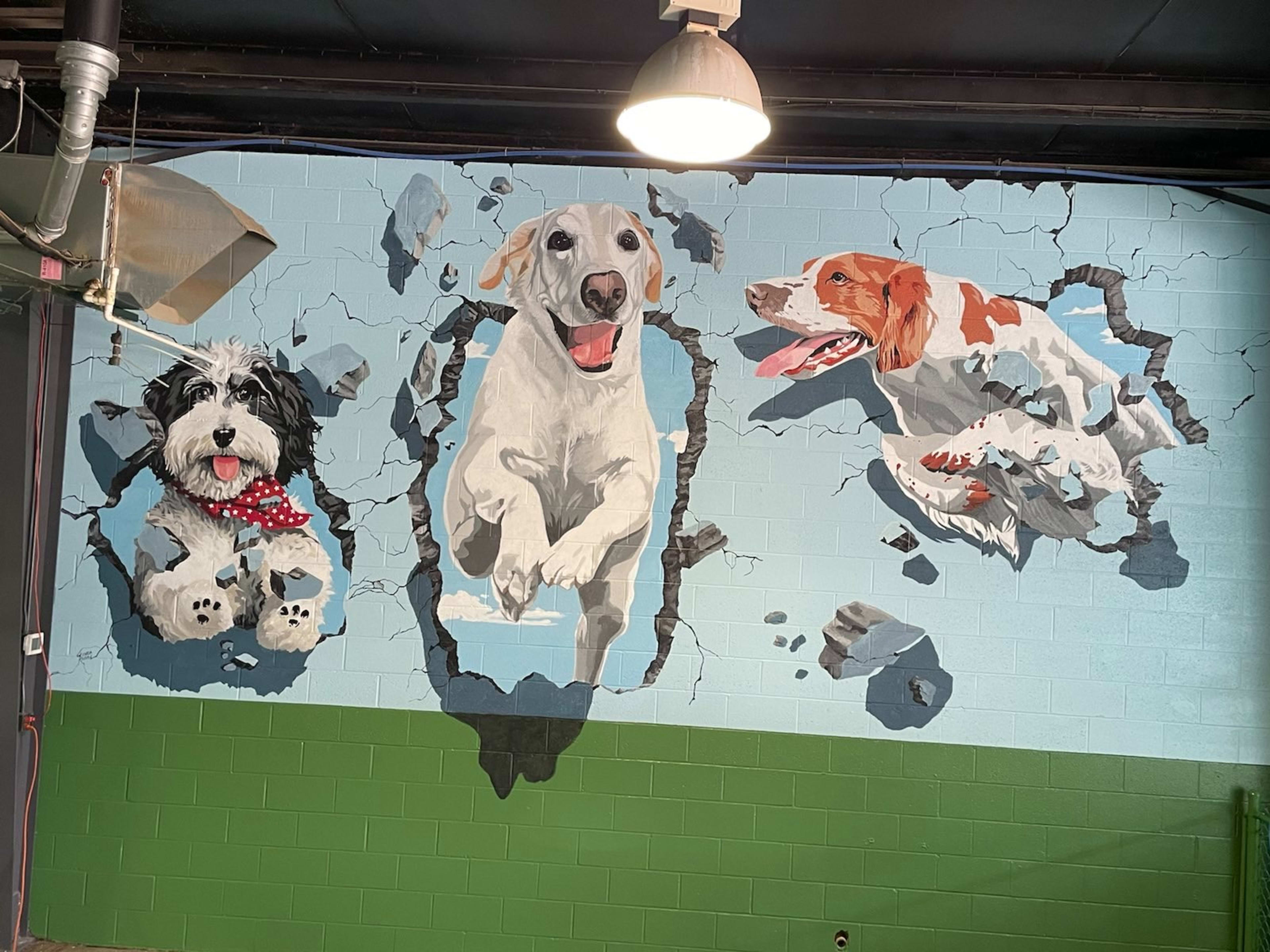Camp Furkids