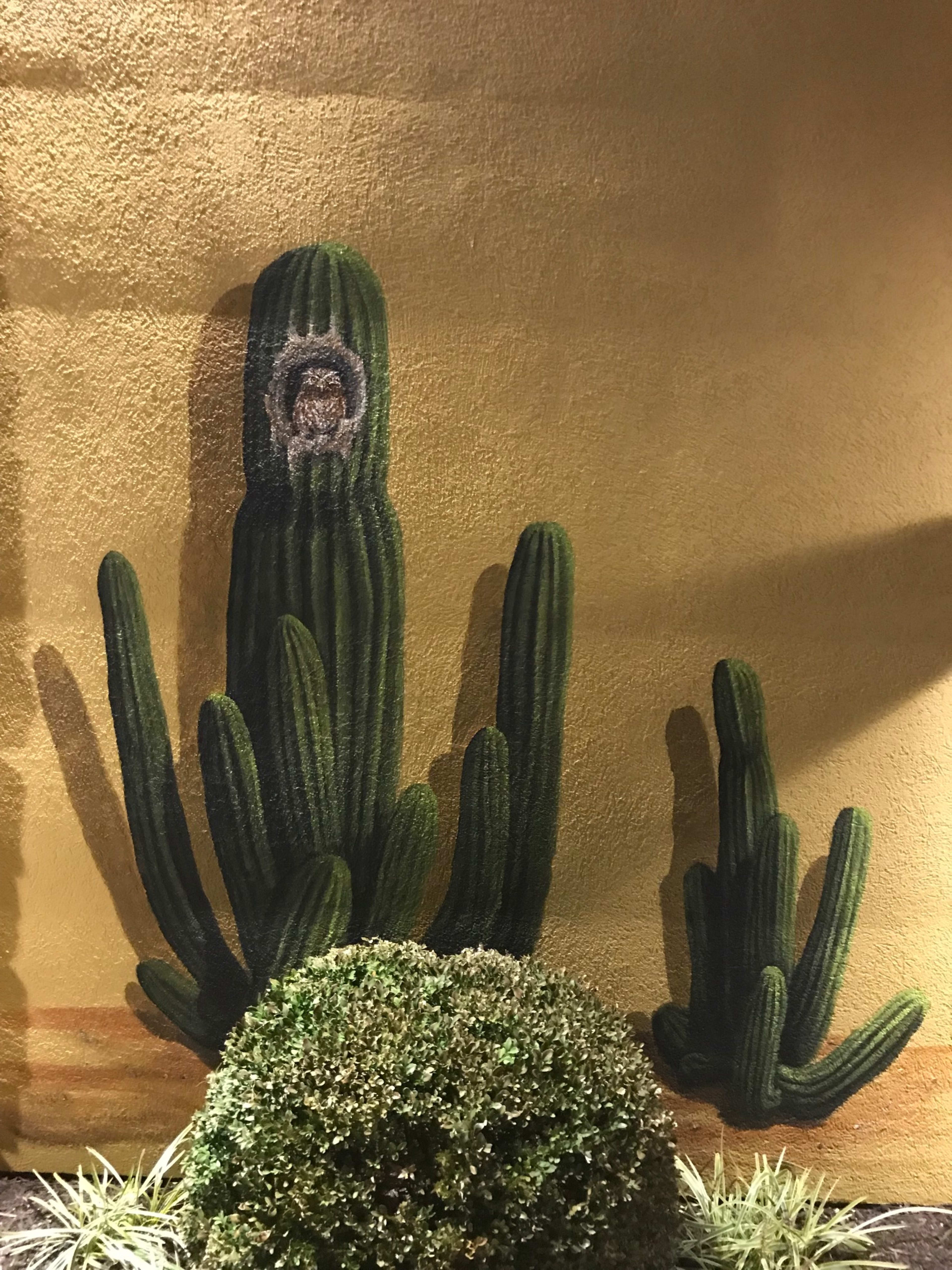 Cactus