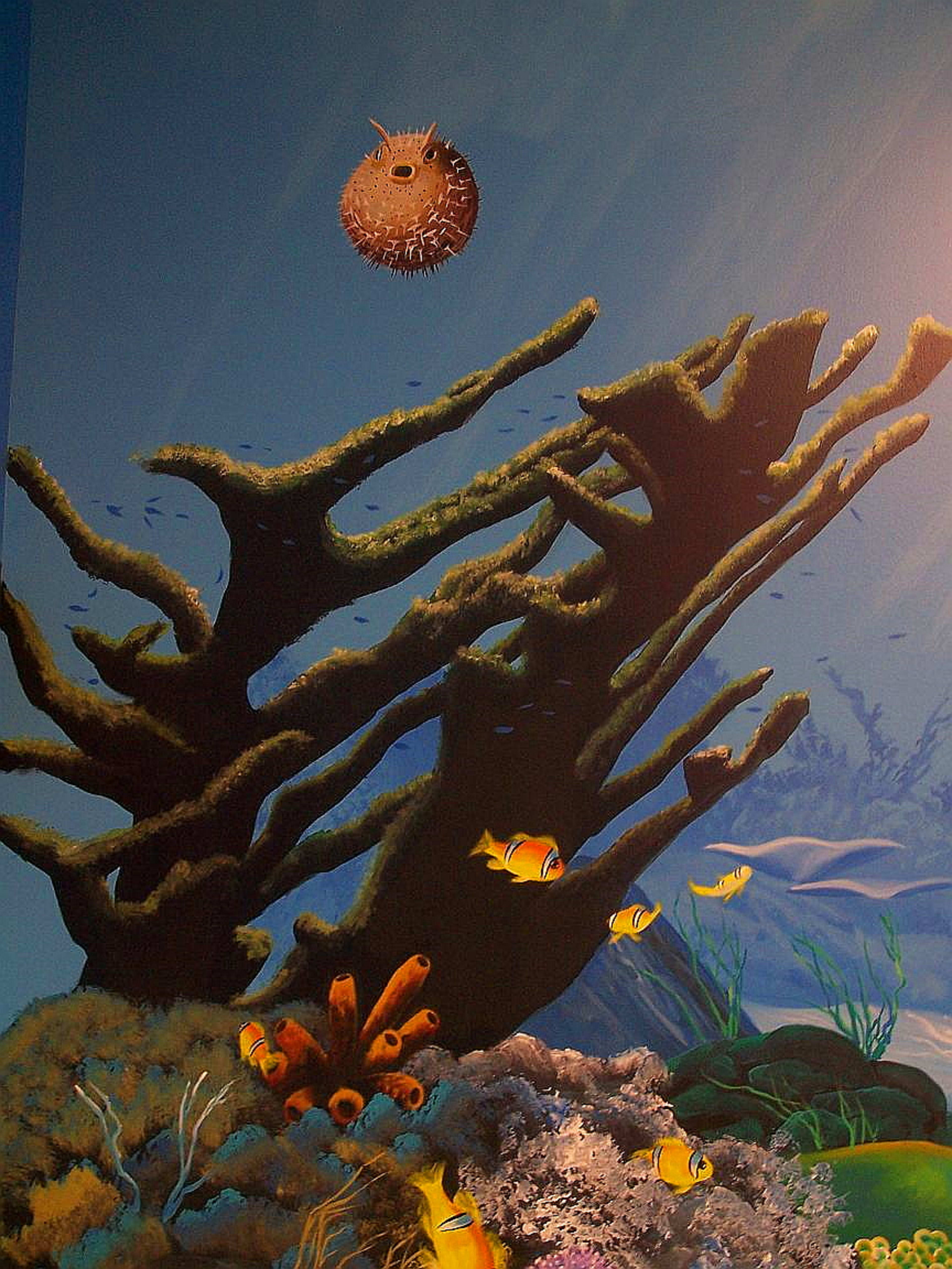 Underwater Murals 61