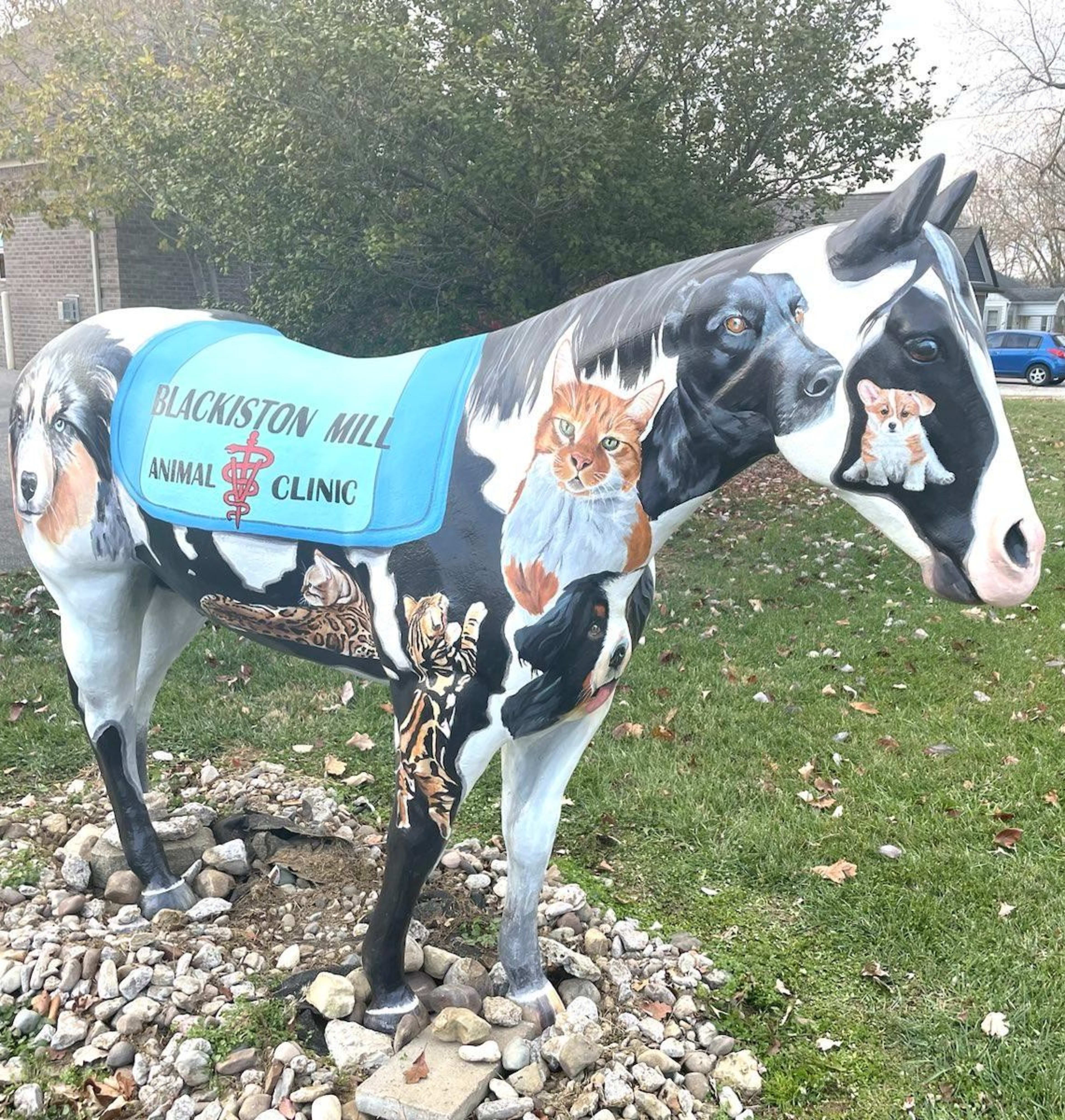 Blackiston Mill Animal Clinic