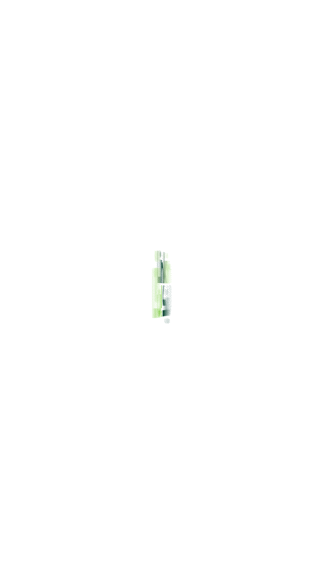Loading Page