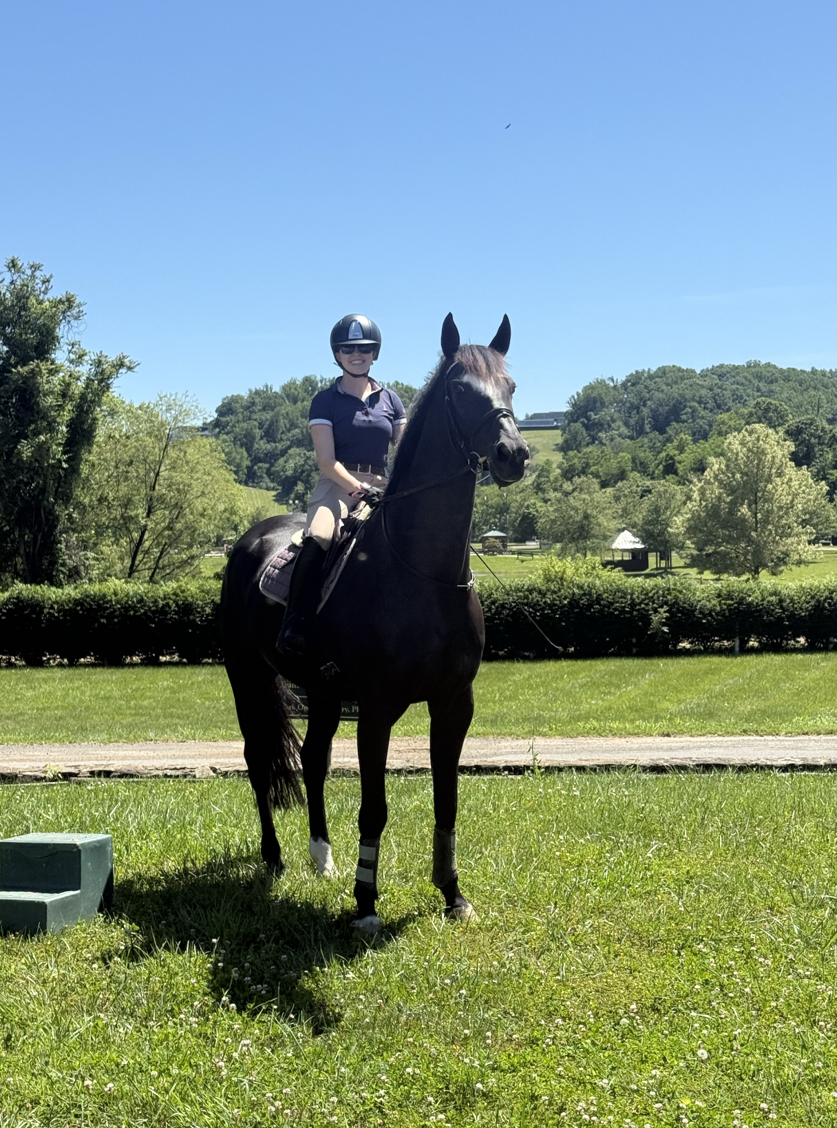 Fernhill Domino