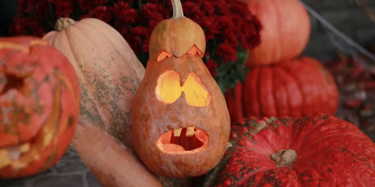 Eine Frau zerstört all die Halloween-Dekorationen ihrer Nachbarin, weil sie ihre Aussicht "ruiniert" – fünf Minuten später schreit die Nachbarin: "Was hast du getan?