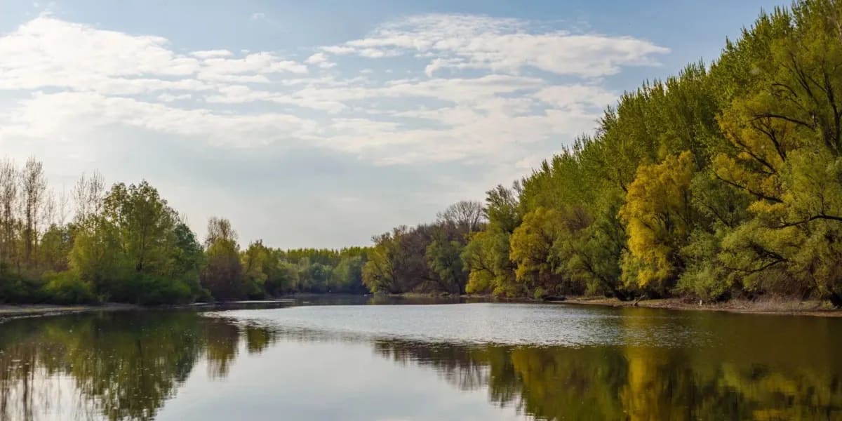 A Woman's Son Passed Away Saving a Little Girl from a River – 18 Years Later, That Girl Appeared at Her Door with a Little Boy and Said, 'Your Son Wasn't at That River by Accident. I Need to Tell You the Truth