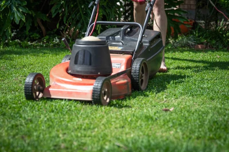 My 12-Year-Old Son Spent the Summer Mowing Lawns for Elderly Neighbors for Free – After His Last Job, Two Patrol Cars Pulled up Outside Our House, and What Happened Next Made My Hands Shake