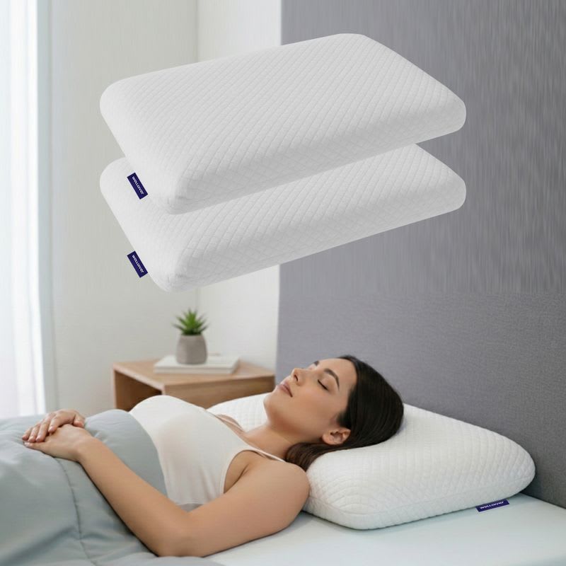 WELLGIVER Memory Foam Sleeping Pillow Pack of 2 Geometric Luxury