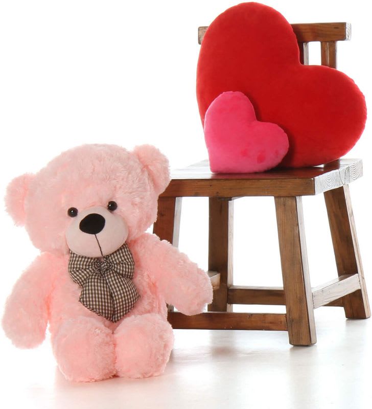 RIDDHI TOYS 2 FEET PINK SOFT AND CUTE TEDDY FOR KIDS AND BIRTHDAY GIFT FOR SOMEONE SPECIAL - 60 cm
